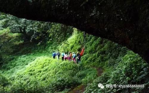 聚好商城盘中异动 股价大跌8.59%报1.81美元