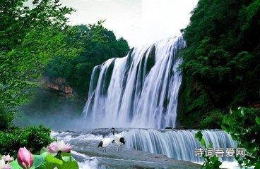 梦想之森